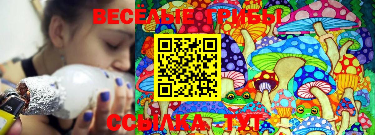 Псилоцибиновые грибы MAGIC MUSHROOMS Елец